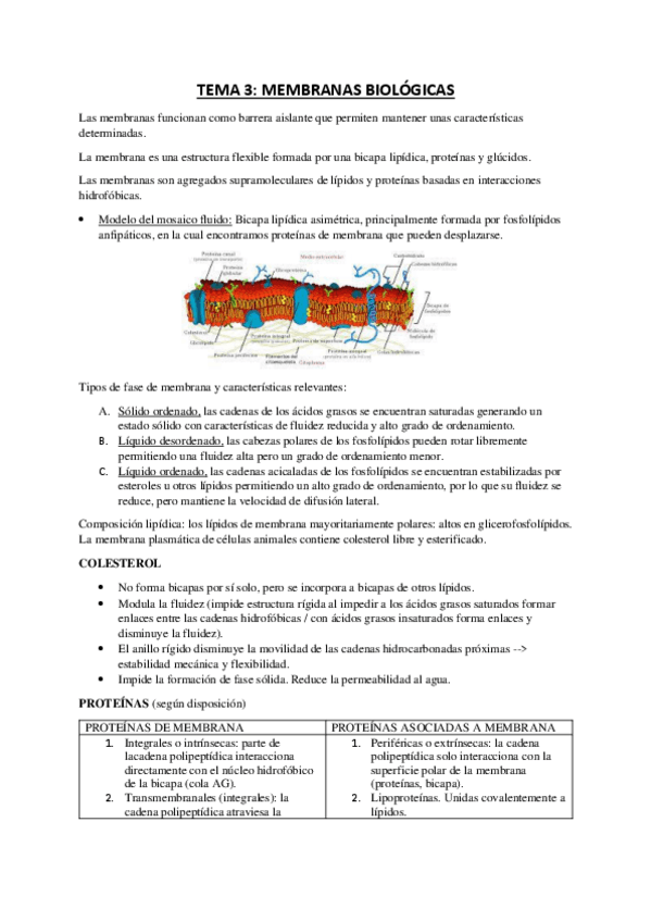 Miniatura del documento RESUMEN-TEMA-3.pdf
