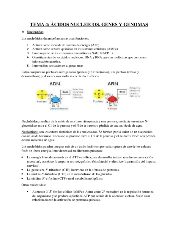 Miniatura del documento RESUMEN-TEMA-4-BIOQUIMICA.pdf