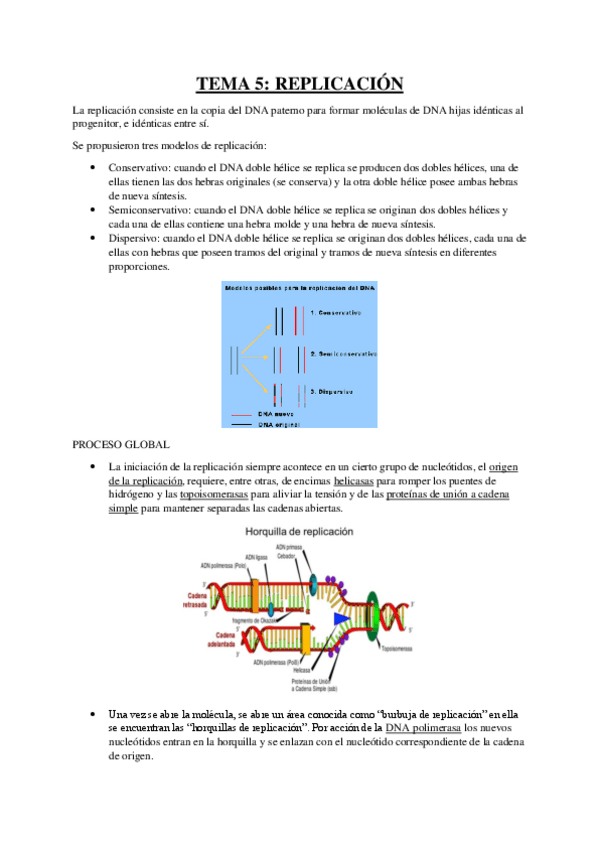 Miniatura del documento RESUMEN-TEMA-5-BIOQUIMICA.pdf