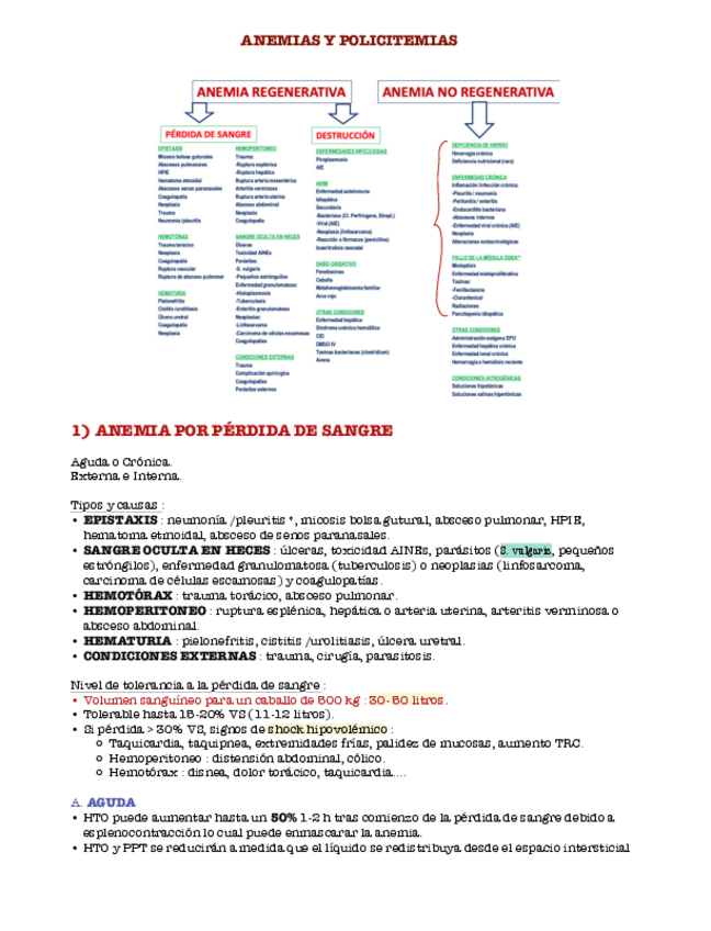 Miniatura del documento Anemias-y-policitemias.pdf