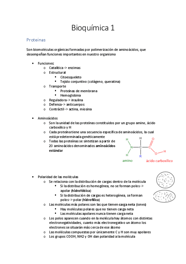 Miniatura del documento Bioquimica-1.pdf