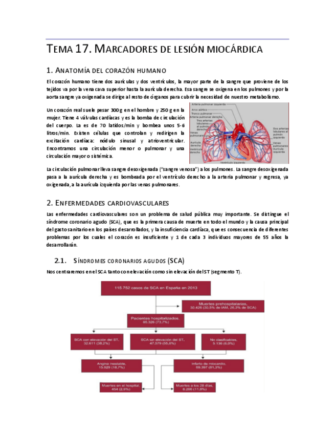 Miniatura del documento Tema-17.pdf