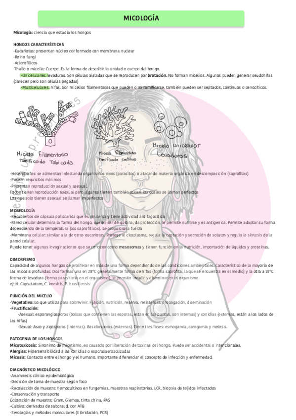 Miniatura del documento Micosis-generalidadeswatermark.pdf