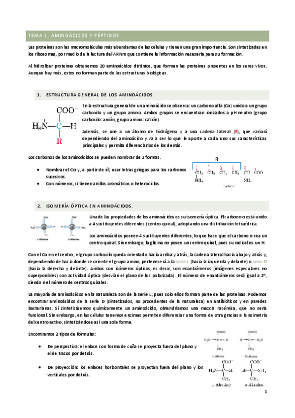 Miniatura del documento TEMARIO-bq.pdf