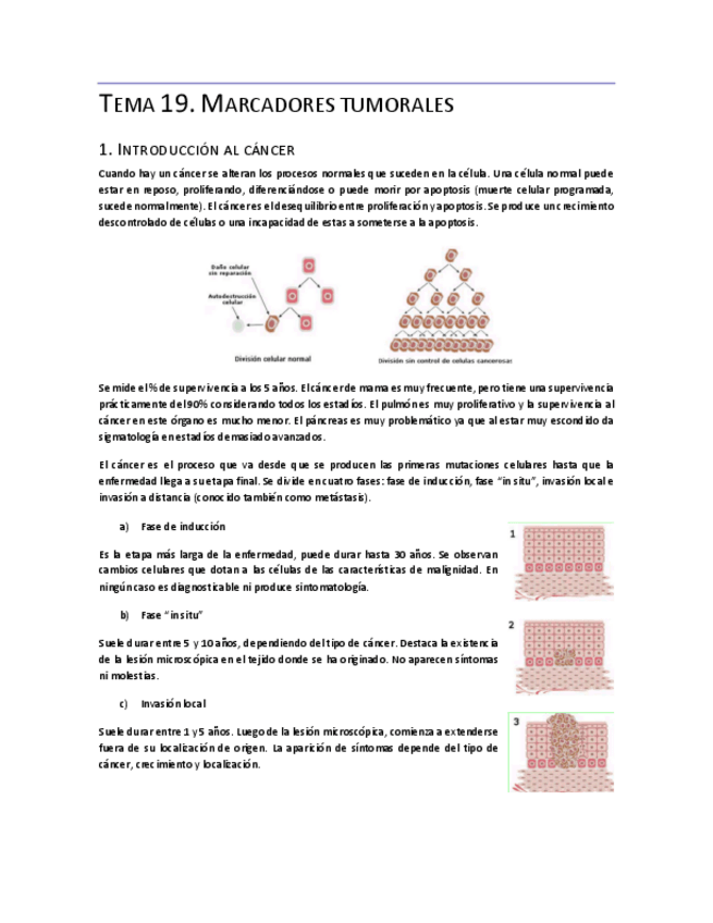 Miniatura del documento Tema-19.pdf