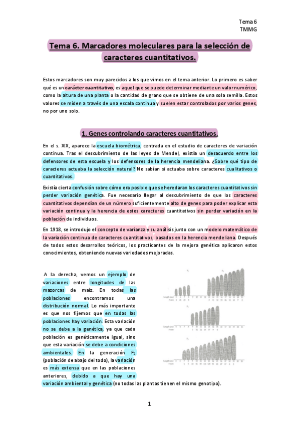 Miniatura del documento TEMA-6-chico.pdf