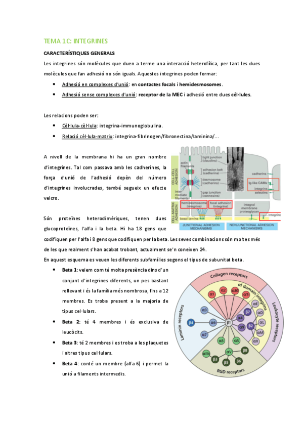 Miniatura del documento BMC-Tema-1C-Integrines.pdf