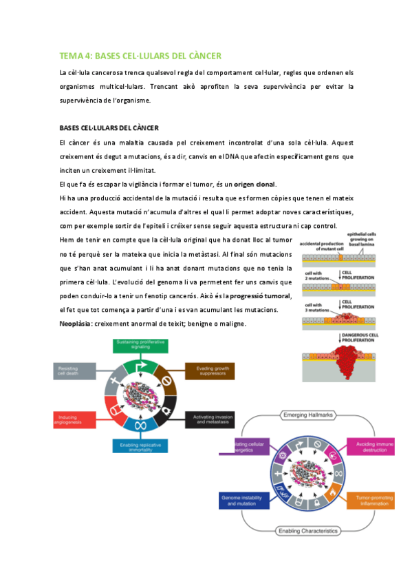 Miniatura del documento BMC-Tema-4-Bases-cellulars-del-cancer.pdf