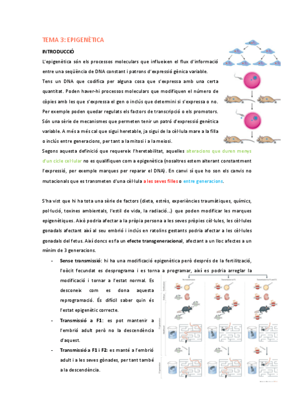 Miniatura del documento GH-Tema-3-Epigenetica.pdf