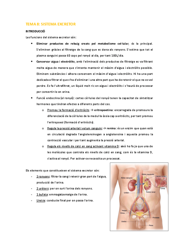 Miniatura del documento HS-Tema-8-Excretor.pdf