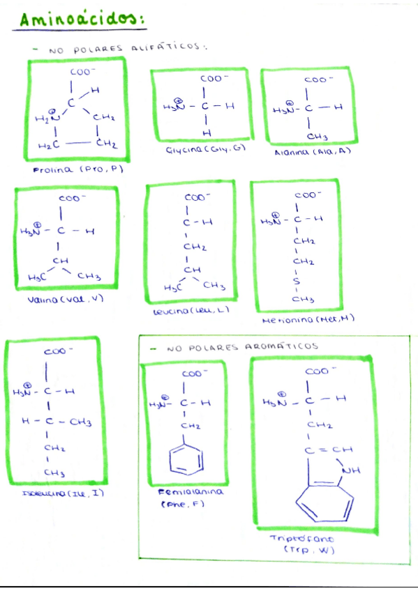 Miniatura del documento clasificacion-aminoacidos-9.pdf