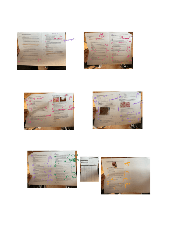 Miniatura del documento Ex-2022-1P-micro.pdf