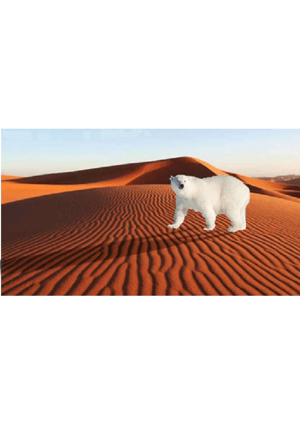 Miniatura del documento GIMP-ACTIVIDAD-1-Seleccionar-objetos-Montaje.pdf