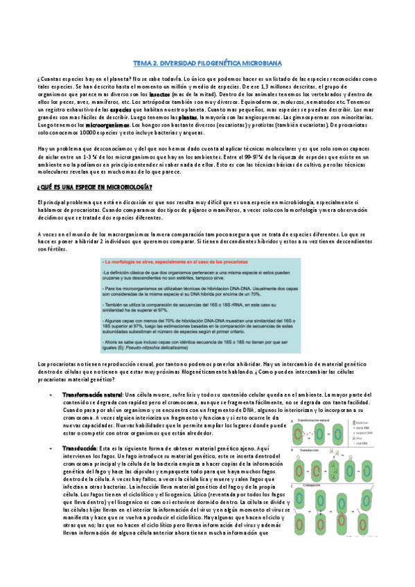 Miniatura del documento TEMA-2.pdf