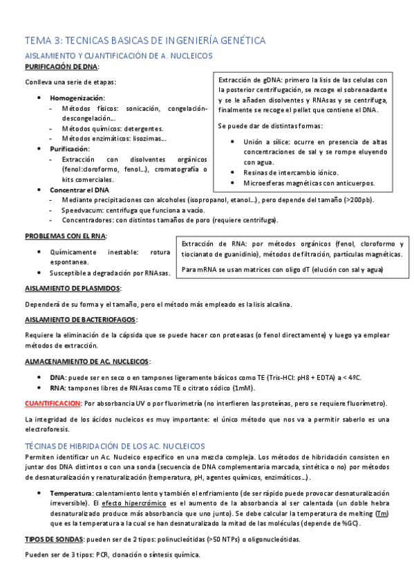 Miniatura del documento TEMA-3.pdf