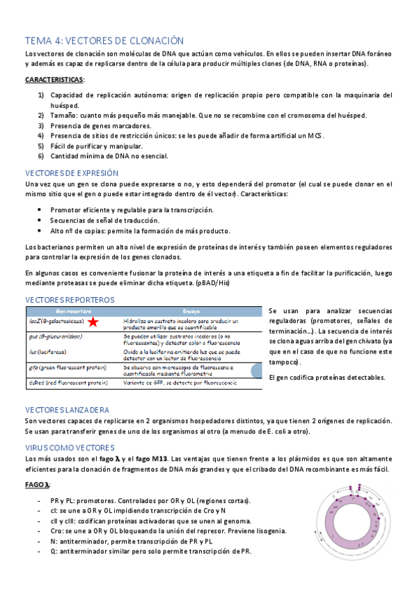 Miniatura del documento TEMA-4.pdf