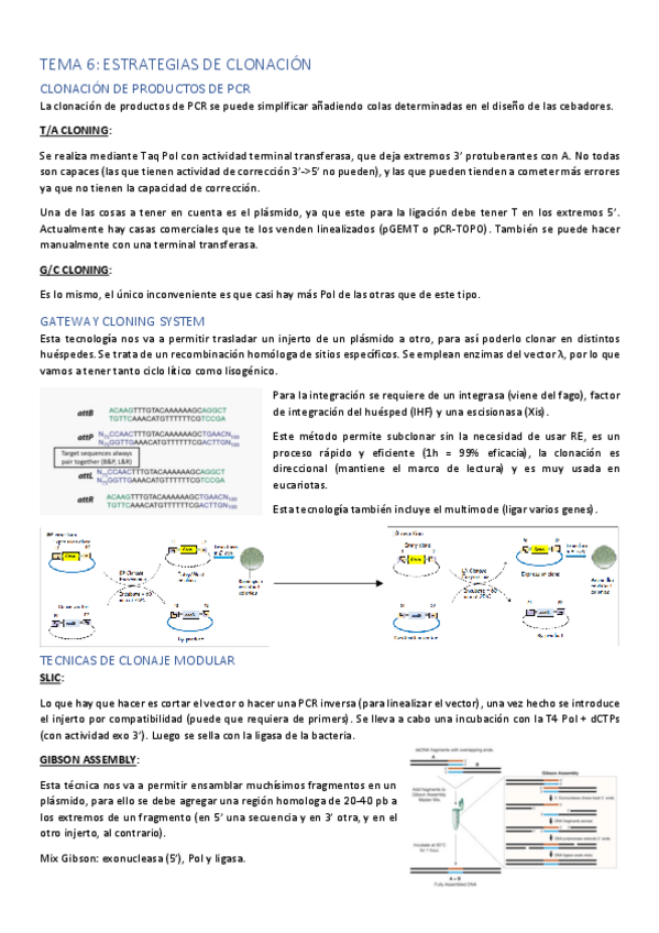 Miniatura del documento TEMA-6.pdf