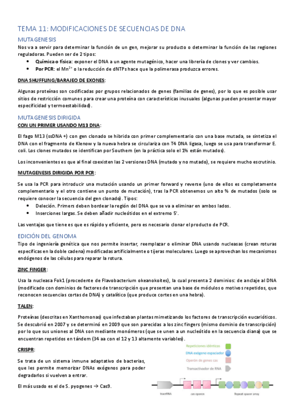 Miniatura del documento TEMA-11.pdf