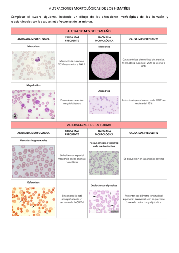 Miniatura del documento Alteraciones-morfologicas-hematies-.pdf