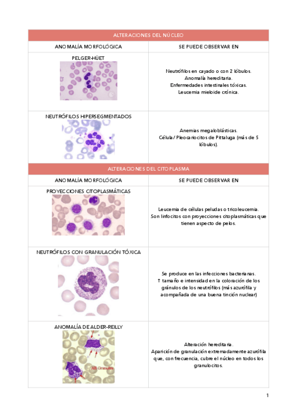 Miniatura del documento Alteraciones.pdf