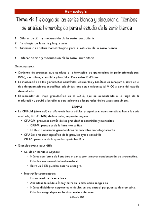 Miniatura del documento HE-4.pdf