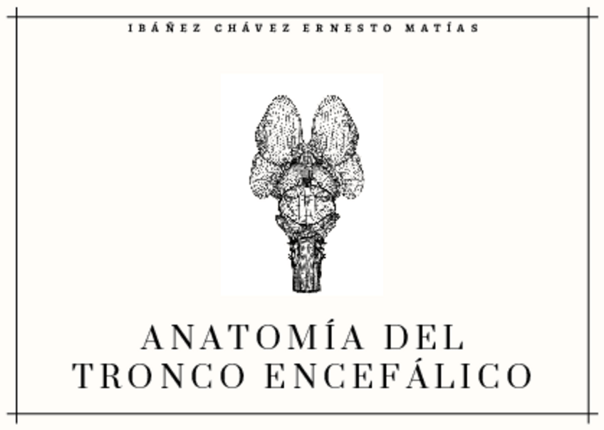 Miniatura del documento Tronco-Encefalico.pdf