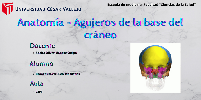 Miniatura del documento Agujeros-de-la-base-del-craneo.pdf