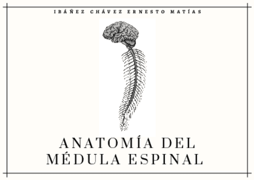 Miniatura del documento Anatomia-de-la-Medula-Espinal-con-irrigacion-1.pdf