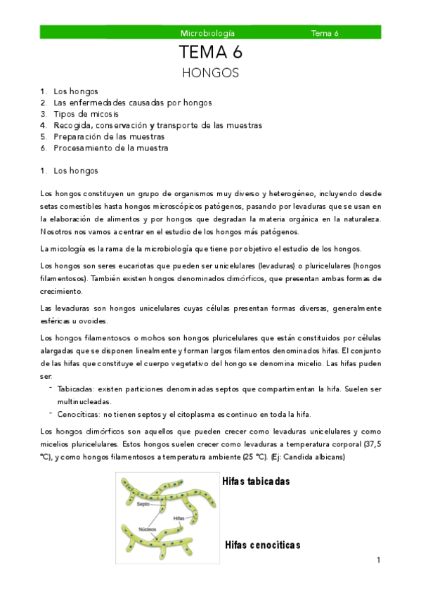 Miniatura del documento MB-6.pdf