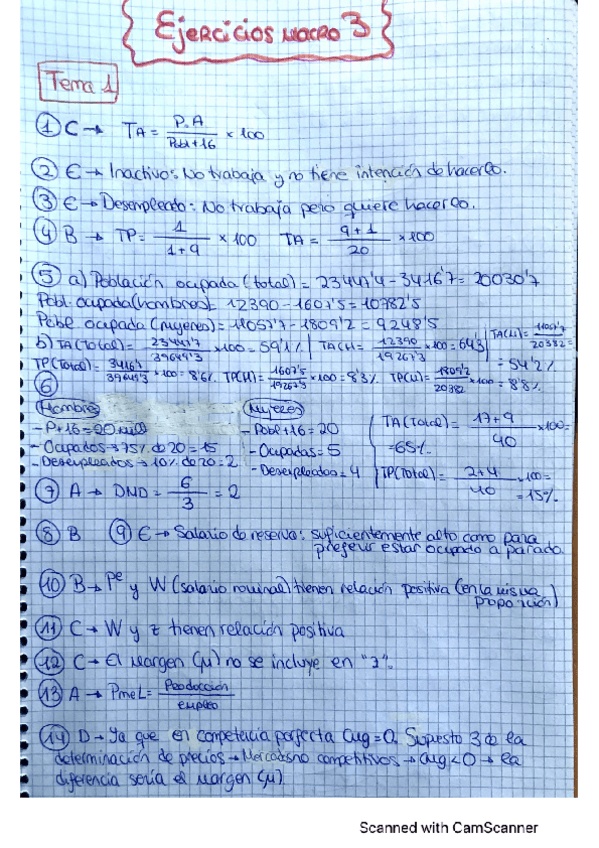 Miniatura del documento TEMA-1-MACRO-3.pdf
