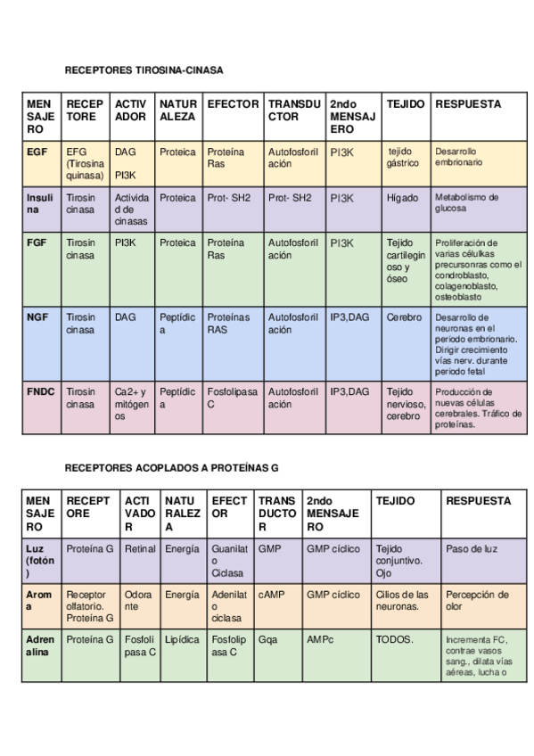 Miniatura del documento Mensajeros.docx