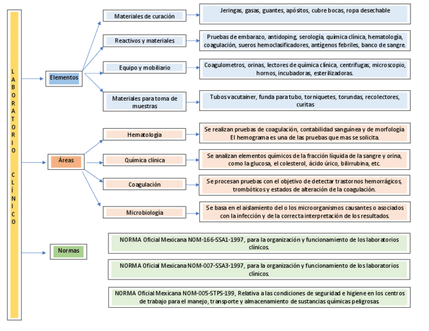 Miniatura del documento mapa-mental-laboratorio-clinico.pdf