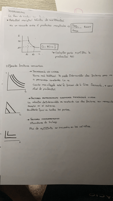 Miniatura del documento WhatsApp-Image-2022-02-21-at-19.jpg