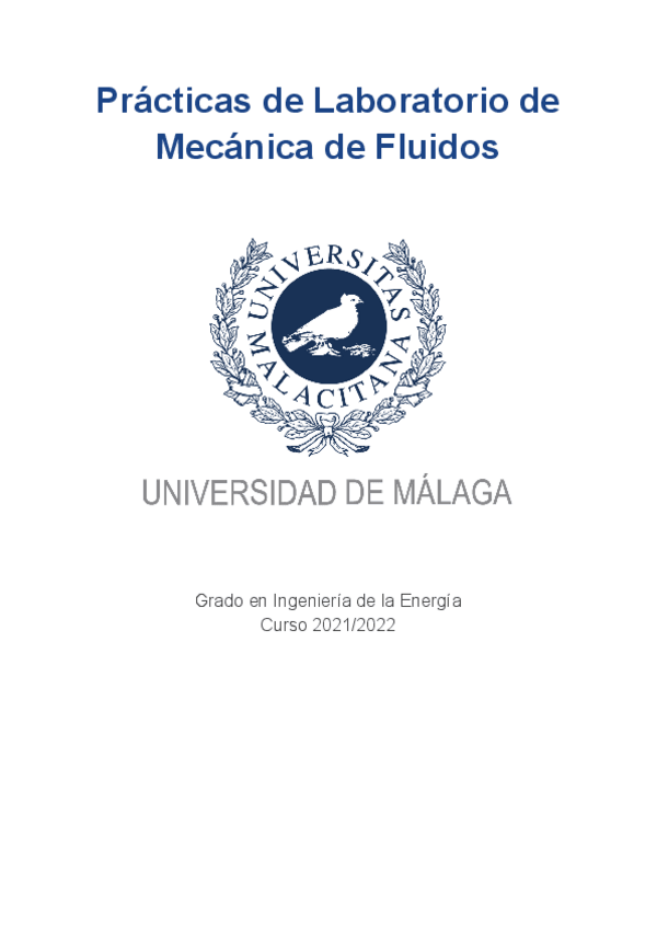 Miniatura del documento Prácticas MecFlu.pdf