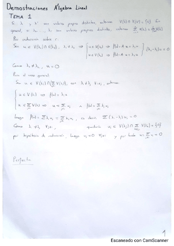 Miniatura del documento Demostraciones-Algebra-Lineal.pdf