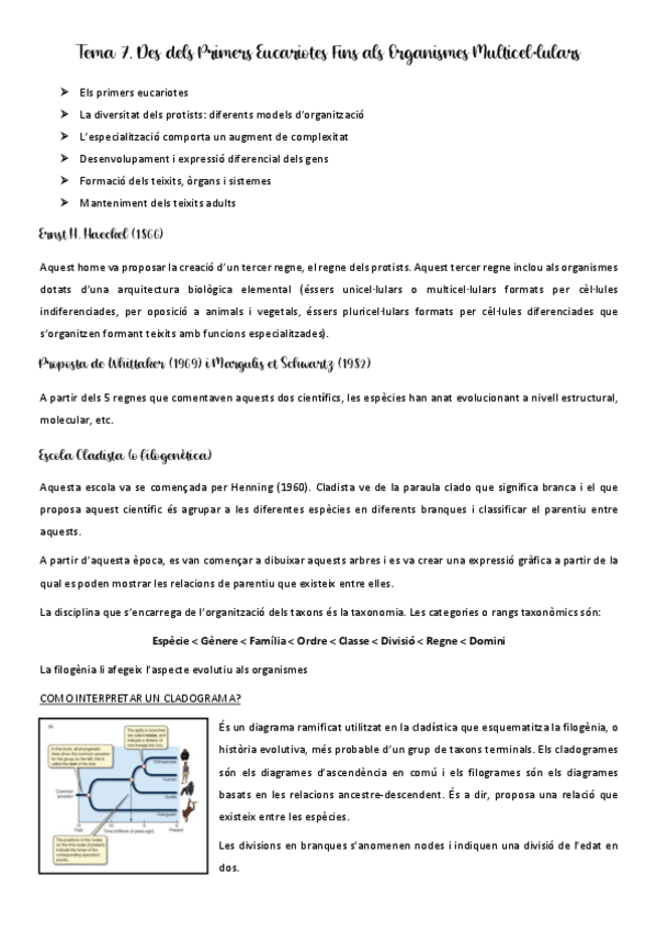 Miniatura del documento Apunts-tema-7.pdf