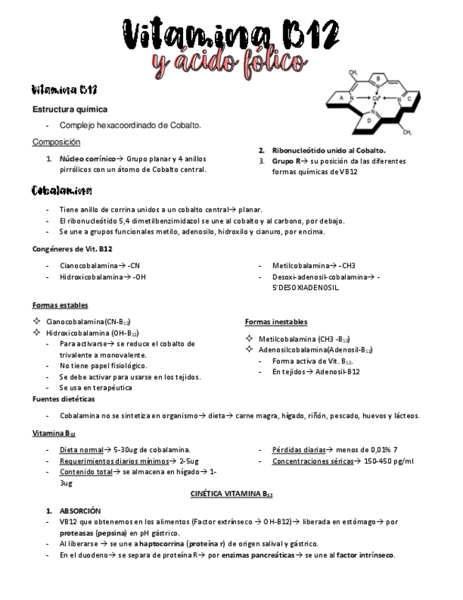 Miniatura del documento VITAMINA B12 Y ACIDO FOLICO.pdf