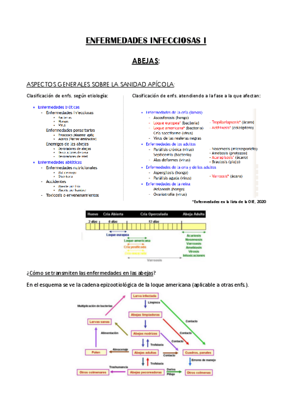 Miniatura del documento Infecciosas-I-ABEJAS.pdf