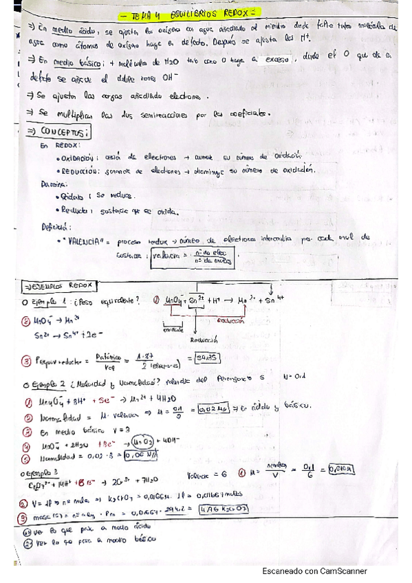 Miniatura del documento REDOX-PILAS.pdf
