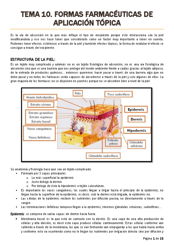 Miniatura del documento TEMA 10.pdf
