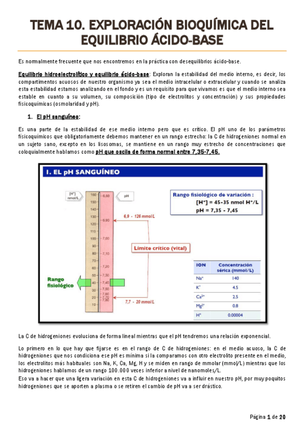 Miniatura del documento TEMA 10.pdf