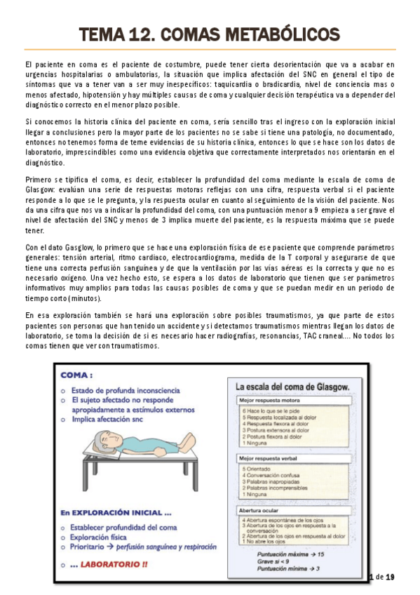 Miniatura del documento TEMA 12.pdf