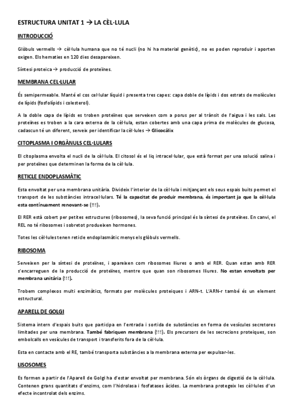 Miniatura del documento ESTRUCTURA UNITAT 1.pdf