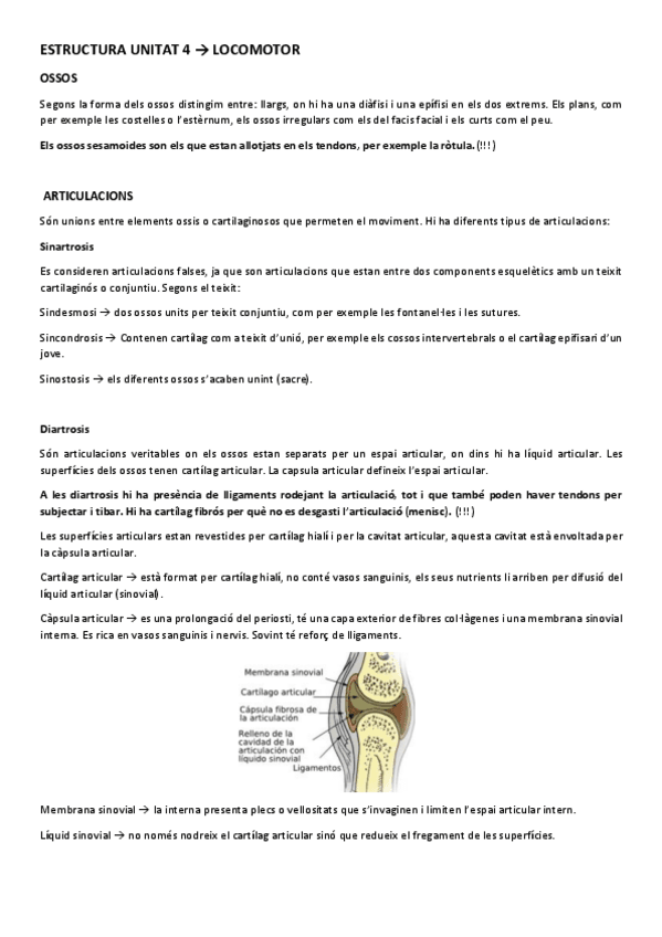 Miniatura del documento ESTRUCTURA UNITAT 4.pdf