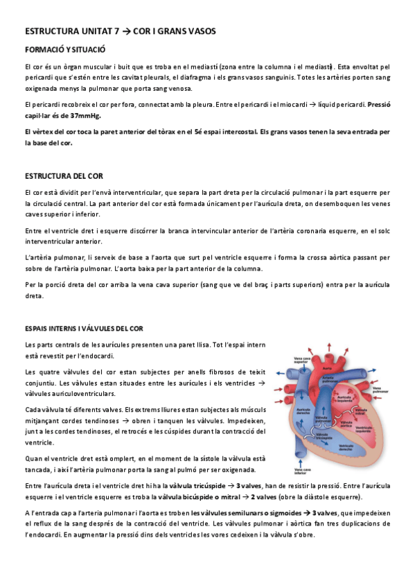 Miniatura del documento ESTRUCTURA UNITAT 6.pdf