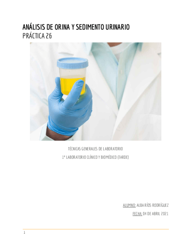 Miniatura del documento ALBA-RIOS-PRACTICA-26.pdf