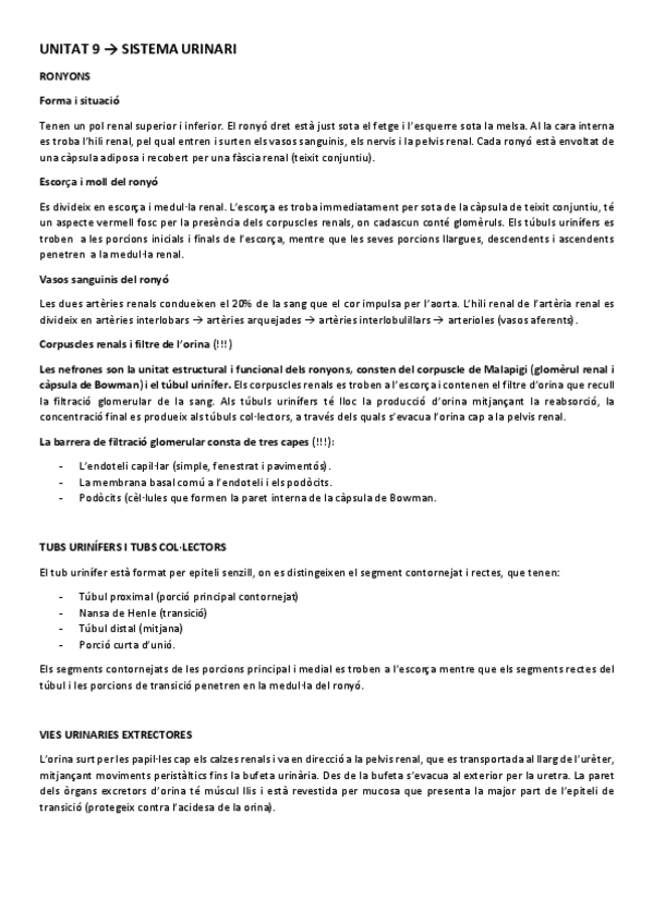 Miniatura del documento ESTRUCTURA UNITAT 9.pdf