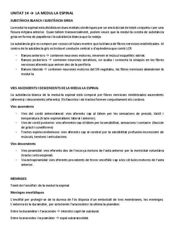 Miniatura del documento ESTRUCTURA UNITAT 14.pdf
