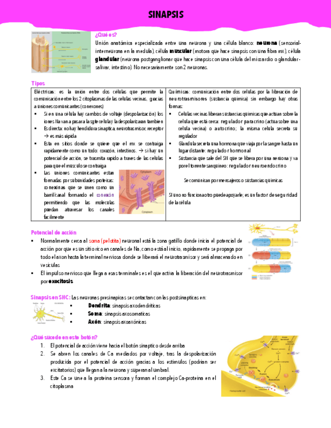 Miniatura del documento FISIO-COMPLETO-24-31.pdf