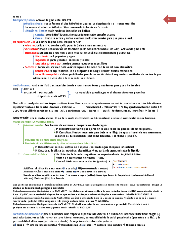 Miniatura del documento apuntes-recuperacion-fisiologia.pdf